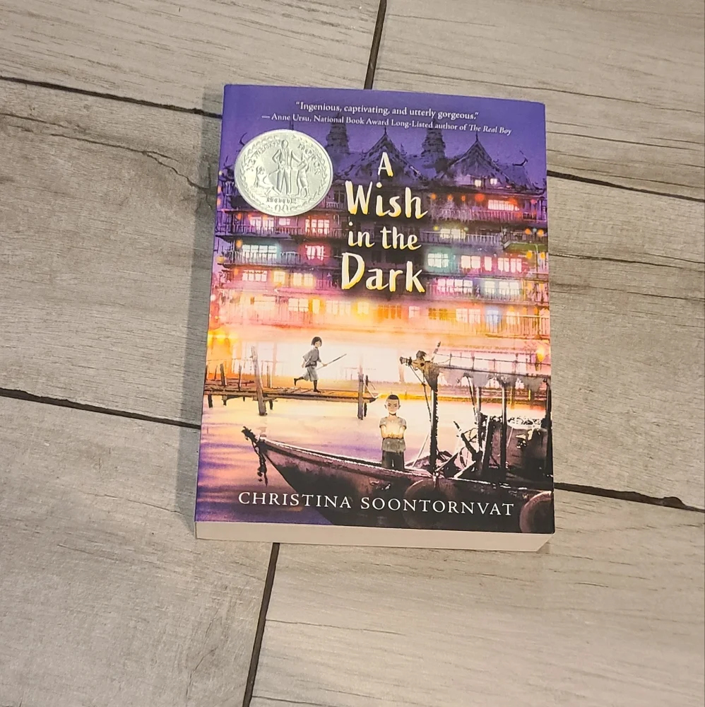 🦔A wish in the dark Young Adult book Novel 🧁